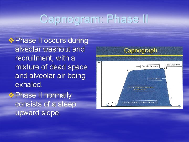 Capnogram: Phase II v Phase II occurs during alveolar washout and recruitment, with a Capnogram: Phase II v Phase II occurs during alveolar washout and recruitment, with a