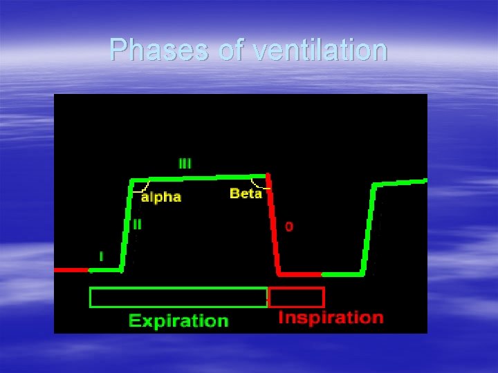 Phases of ventilation Phases of ventilation