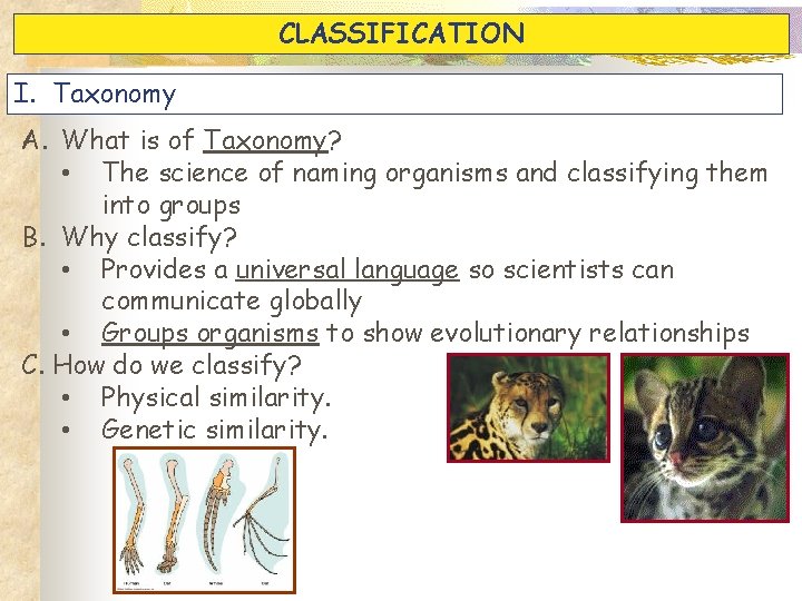 CLASSIFICATION I. Taxonomy A. What is of Taxonomy? • The science of naming organisms