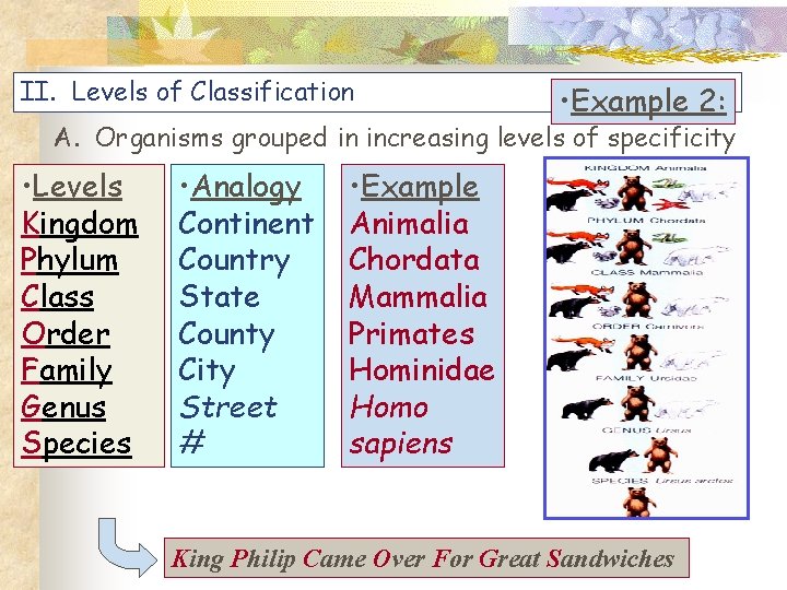 II. Levels of Classification • Example 2: A. Organisms grouped in increasing levels of