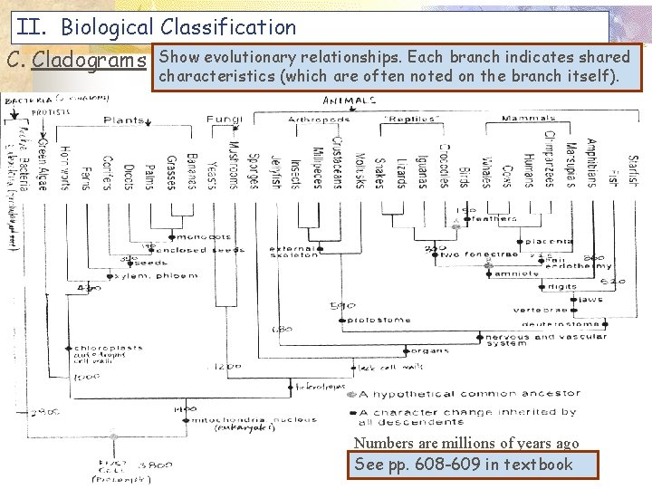 II. Biological Classification C. Cladograms Show evolutionary relationships. Each branch indicates shared characteristics (which