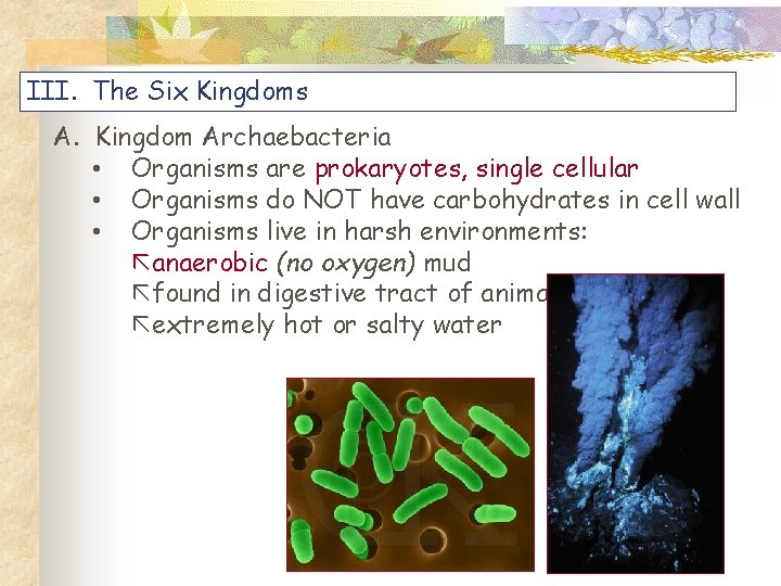 III. The Six Kingdoms A. Kingdom Archaebacteria • Organisms are prokaryotes, single cellular •