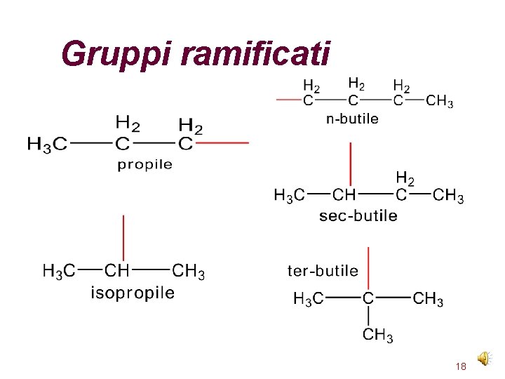 Gruppi ramificati 18 