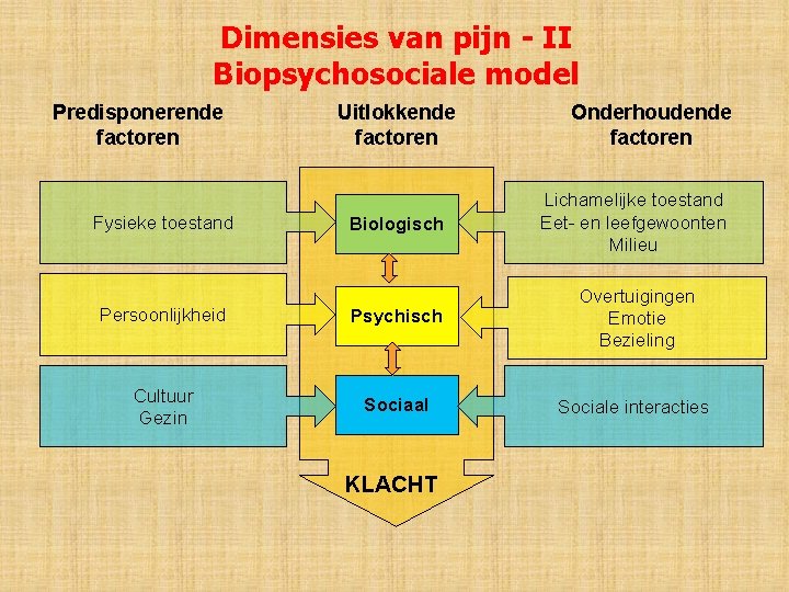 Dimensies van pijn - II Biopsychosociale model Predisponerende factoren Uitlokkende factoren Onderhoudende factoren Biologisch