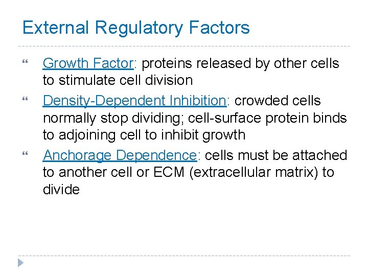 External Regulatory Factors Growth Factor: proteins released by other cells to stimulate cell division