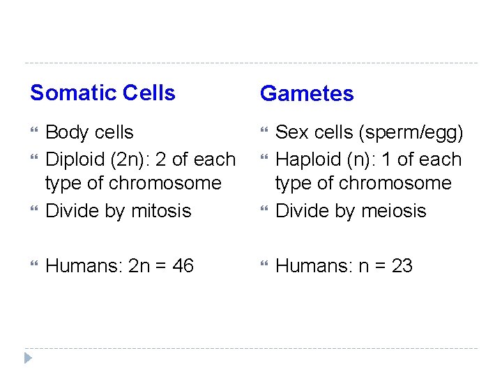 Somatic Cells Gametes Body cells Diploid (2 n): 2 of each type of chromosome