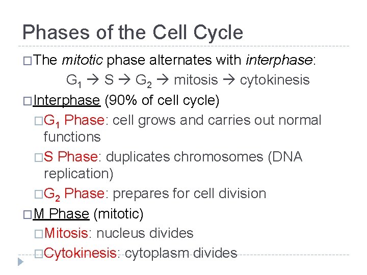 Phases of the Cell Cycle �The mitotic phase alternates with interphase: G 1 S