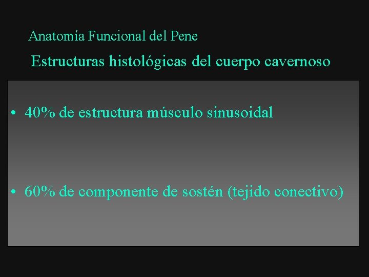 Anatomía Funcional del Pene Estructuras histológicas del cuerpo cavernoso • 40% de estructura músculo