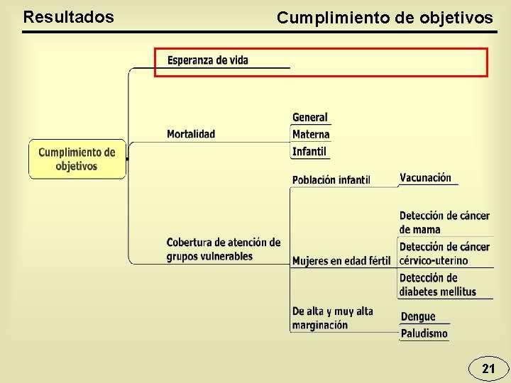 Resultados Cumplimiento de objetivos 21 