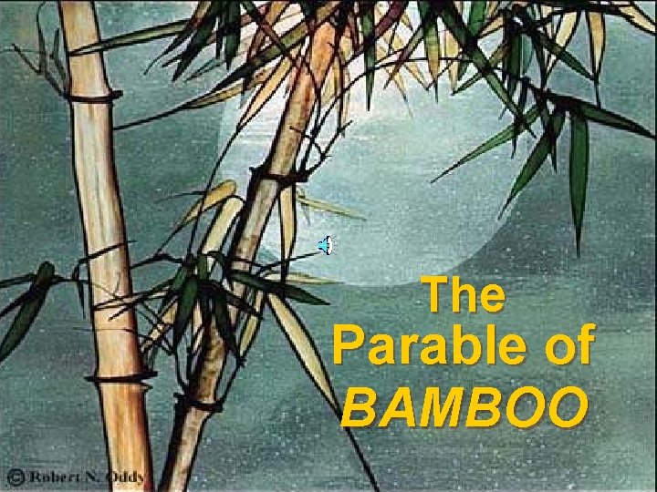 The Parable of BAMBOO 