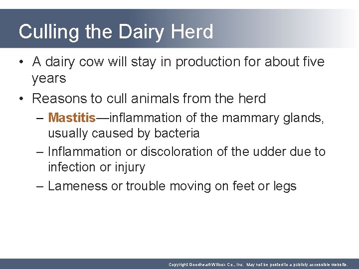 Culling the Dairy Herd • A dairy cow will stay in production for about Culling the Dairy Herd • A dairy cow will stay in production for about
