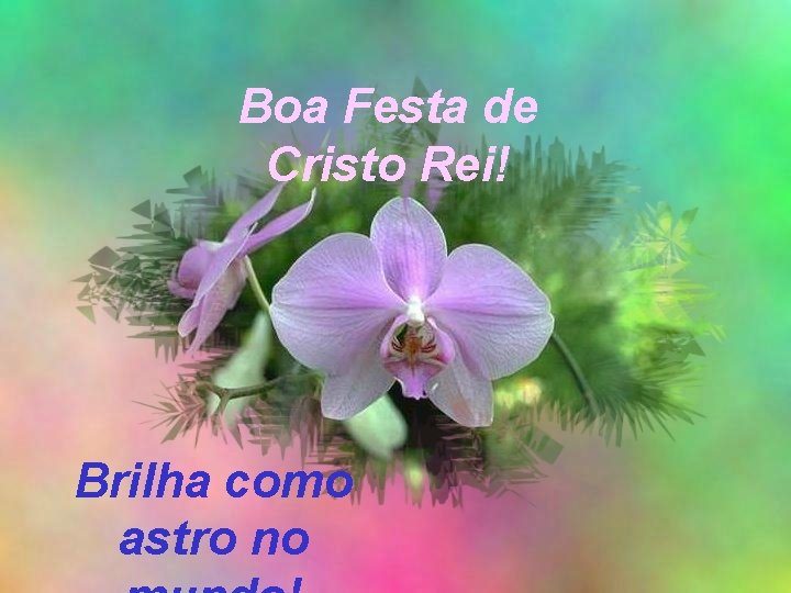 Boa Festa de Cristo Rei! Brilha como astro no 