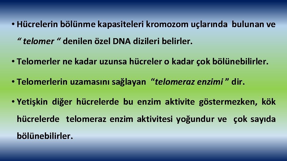  • Hücrelerin bölünme kapasiteleri kromozom uçlarında bulunan ve “ telomer “ denilen özel