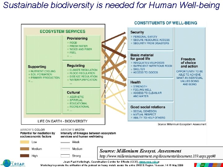 Sustainable biodiversity is needed for Human Well-being Source: Millenium Ecosyst. Assessment http: //www. millenniumassessment. Sustainable biodiversity is needed for Human Well-being Source: Millenium Ecosyst. Assessment http: //www. millenniumassessment.