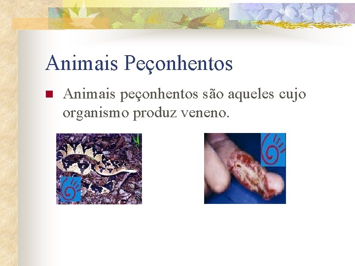 Animais Peçonhentos n Animais peçonhentos são aqueles cujo organismo produz veneno. 