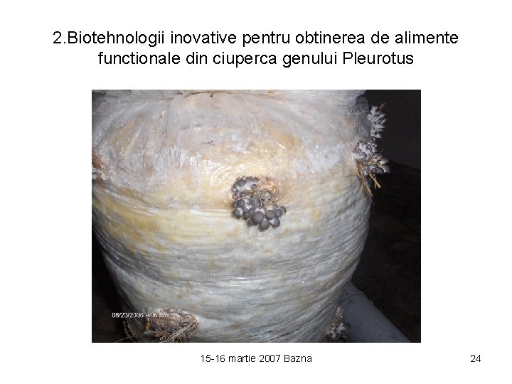 2. Biotehnologii inovative pentru obtinerea de alimente functionale din ciuperca genului Pleurotus 15 -16