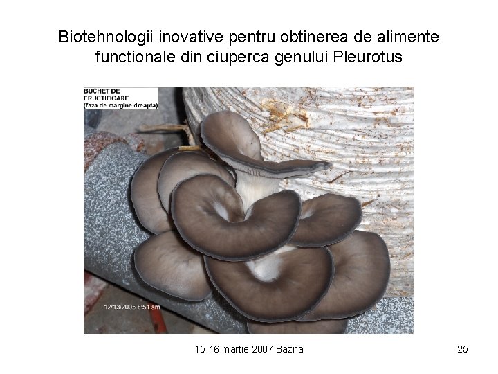 Biotehnologii inovative pentru obtinerea de alimente functionale din ciuperca genului Pleurotus 15 -16 martie