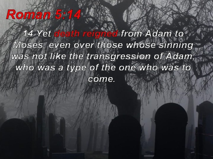 Roman 5: 14 14 Yet death reigned from Adam to Moses, even over those Roman 5: 14 14 Yet death reigned from Adam to Moses, even over those