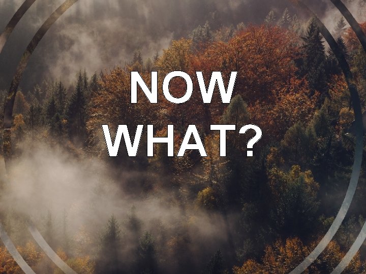 NOW WHAT? NOW WHAT?