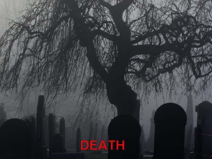 DEATH DEATH