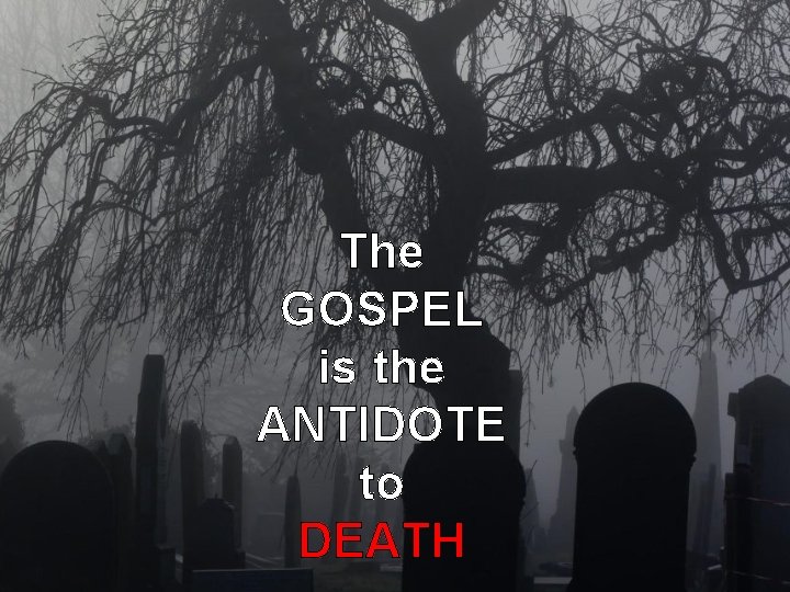 The GOSPEL is the ANTIDOTE to DEATH The GOSPEL is the ANTIDOTE to DEATH