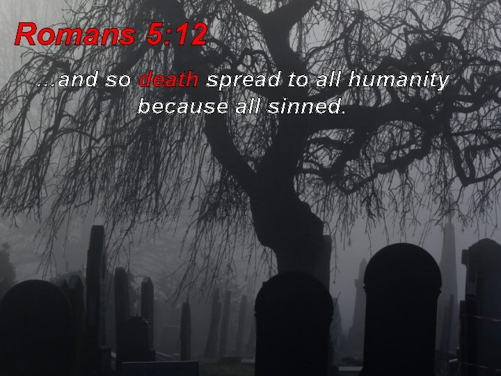 Romans 5: 12 …and so death spread to all humanity because all sinned. Romans 5: 12 …and so death spread to all humanity because all sinned.