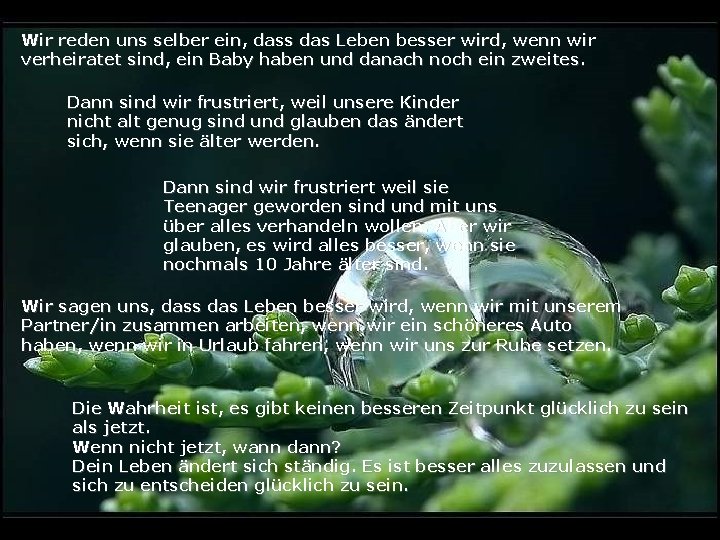 Wir reden uns selber ein, dass das Leben besser wird, wenn wir verheiratet sind,