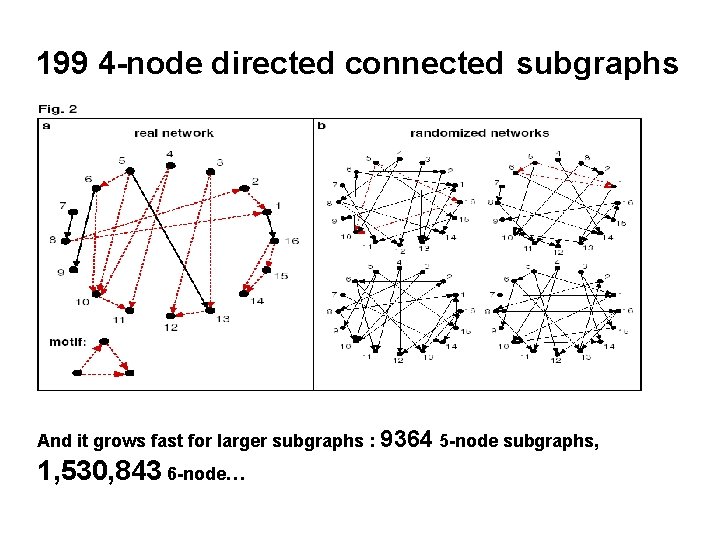 199 4 -node directed connected subgraphs And it grows fast for larger subgraphs :