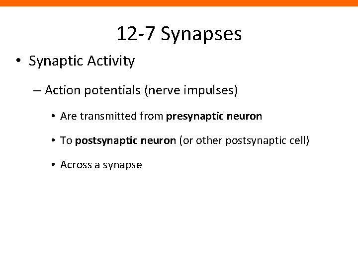 12 -7 Synapses • Synaptic Activity – Action potentials (nerve impulses) • Are transmitted