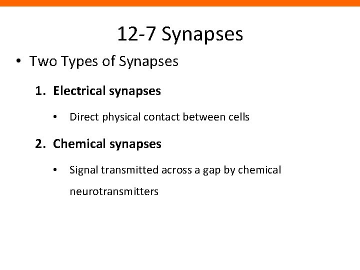 12 -7 Synapses • Two Types of Synapses 1. Electrical synapses • Direct physical