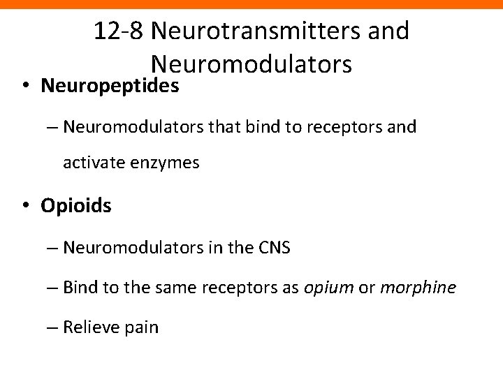 12 -8 Neurotransmitters and Neuromodulators • Neuropeptides – Neuromodulators that bind to receptors and