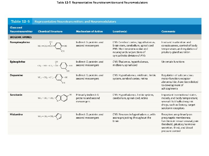 Table 12 -5 Representative Neurotransmitters and Neuromodulators 