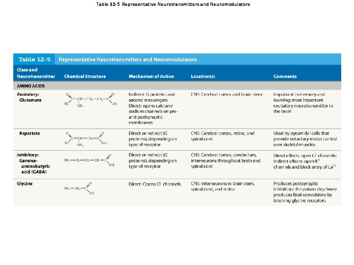 Table 12 -5 Representative Neurotransmitters and Neuromodulators 
