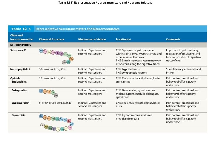 Table 12 -5 Representative Neurotransmitters and Neuromodulators 