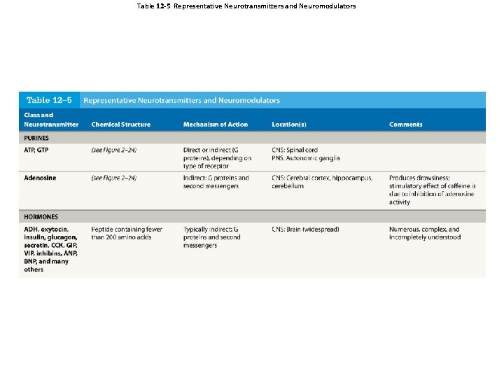 Table 12 -5 Representative Neurotransmitters and Neuromodulators 