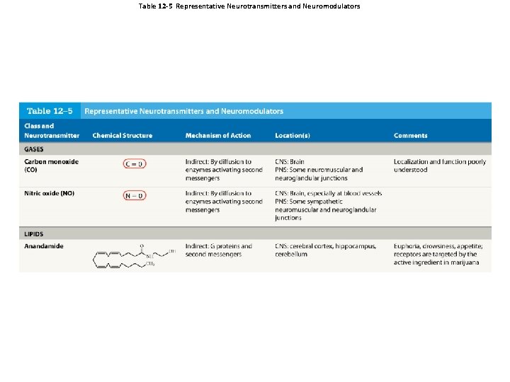 Table 12 -5 Representative Neurotransmitters and Neuromodulators 
