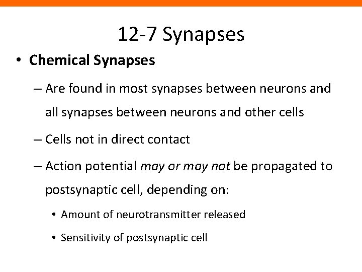12 -7 Synapses • Chemical Synapses – Are found in most synapses between neurons
