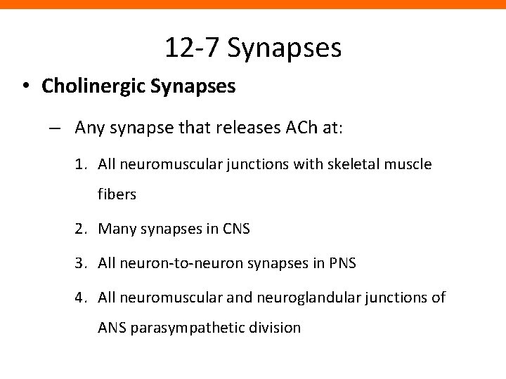 12 -7 Synapses • Cholinergic Synapses – Any synapse that releases ACh at: 1.