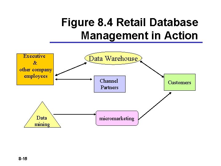 Figure 8. 4 Retail Database Management in Action Executive & other company employees Data