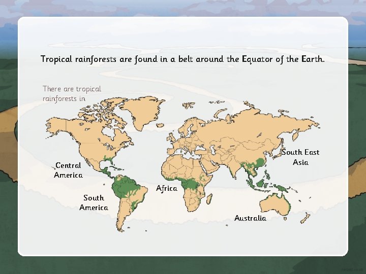 Tropical rainforests are found in a belt around the Equator of the Earth. There