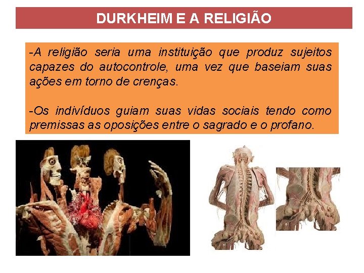 DURKHEIM E A RELIGIÃO -A religião seria uma instituição que produz sujeitos capazes do DURKHEIM E A RELIGIÃO -A religião seria uma instituição que produz sujeitos capazes do