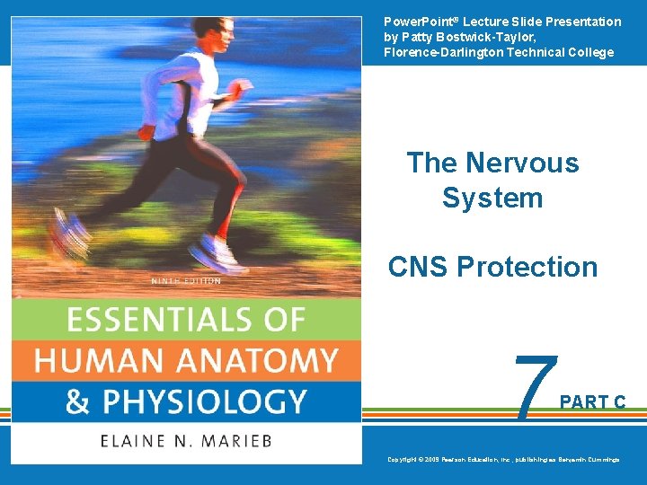 Power. Point® Lecture Slide Presentation by Patty Bostwick-Taylor, Florence-Darlington Technical College The Nervous System