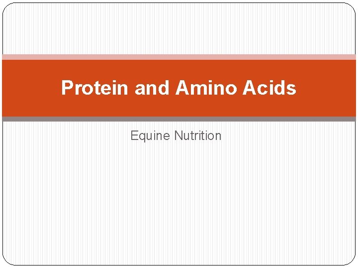 Protein and Amino Acids Equine Nutrition 