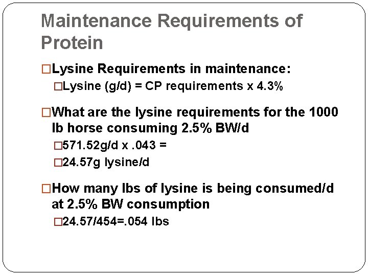Maintenance Requirements of Protein �Lysine Requirements in maintenance: �Lysine (g/d) = CP requirements x
