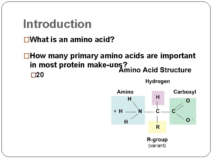 Introduction �What is an amino acid? �How many primary amino acids are important in