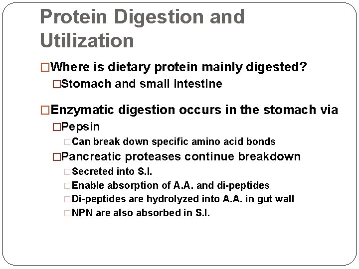 Protein Digestion and Utilization �Where is dietary protein mainly digested? �Stomach and small intestine