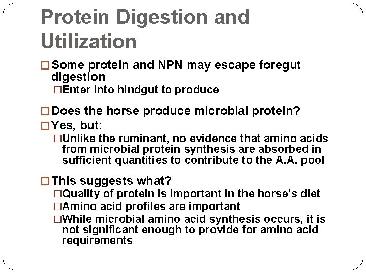 Protein Digestion and Utilization � Some protein and NPN may escape foregut digestion �Enter