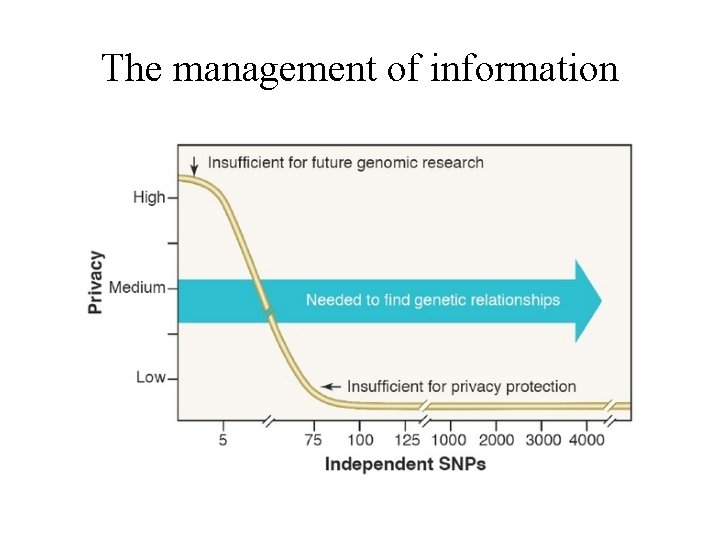 The management of information 