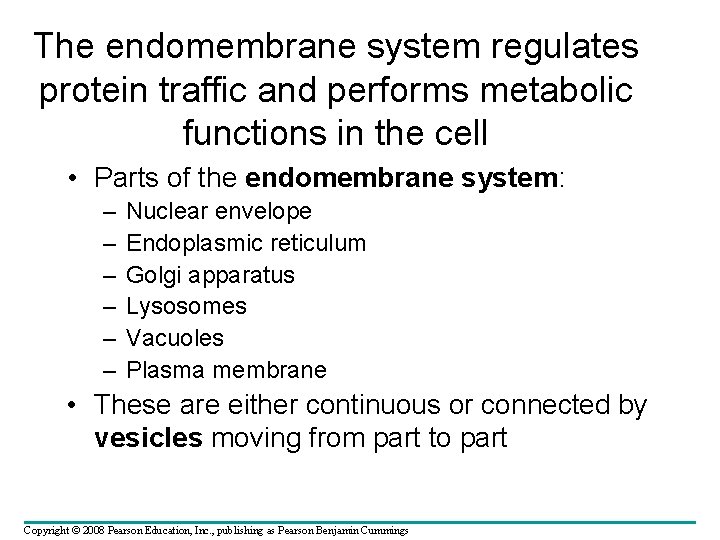 The endomembrane system regulates protein traffic and performs metabolic functions in the cell • The endomembrane system regulates protein traffic and performs metabolic functions in the cell •