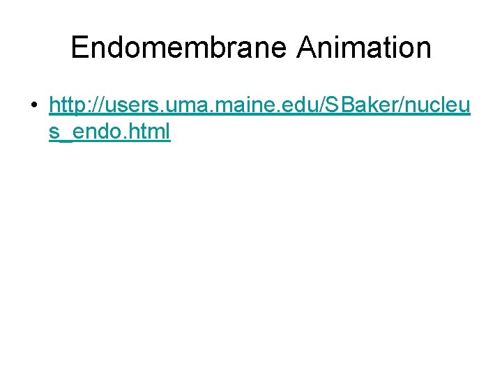 Endomembrane Animation • http: //users. uma. maine. edu/SBaker/nucleu s_endo. html Endomembrane Animation • http: //users. uma. maine. edu/SBaker/nucleu s_endo. html